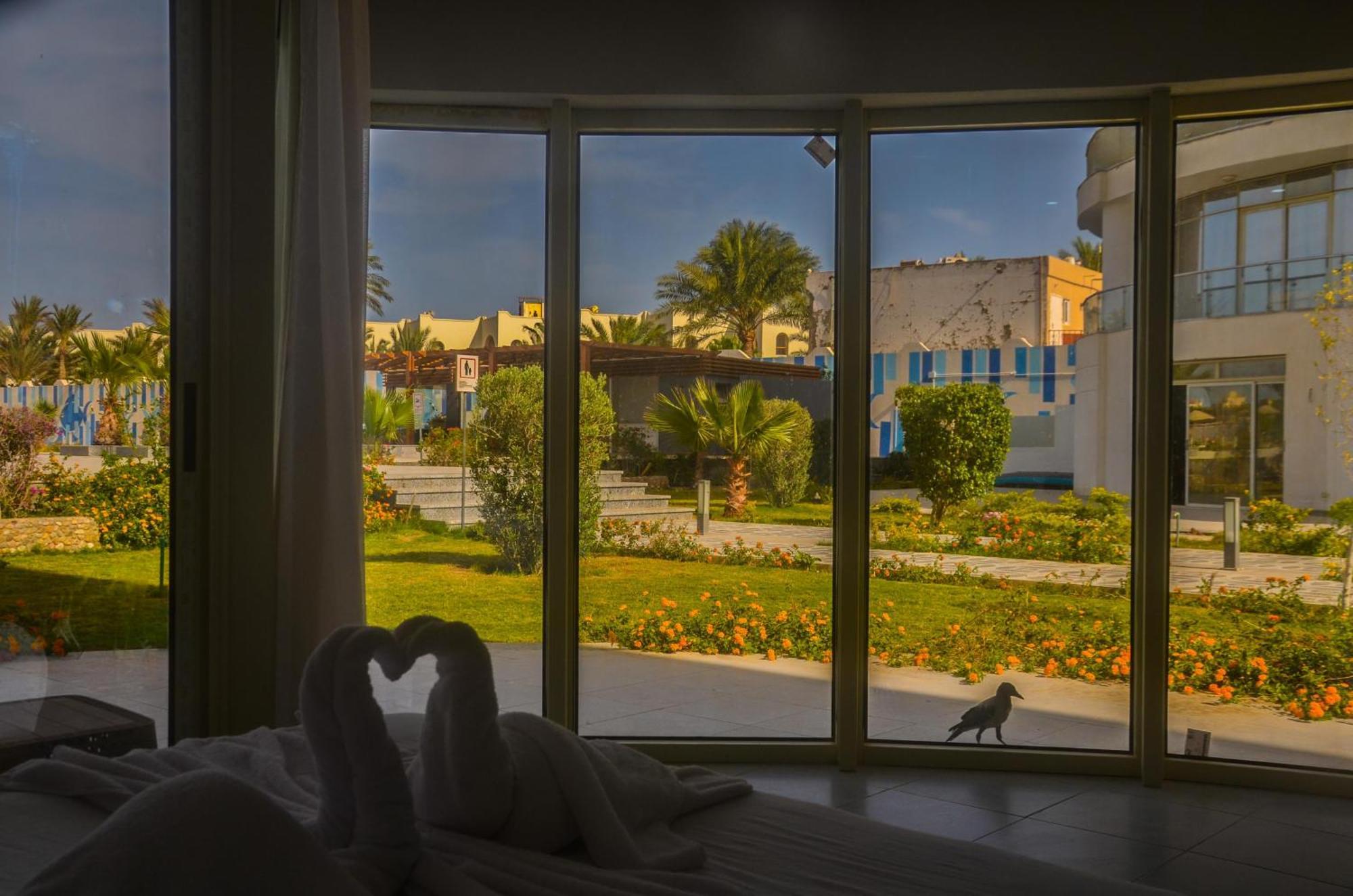 Scandic Apartamento Hurghada