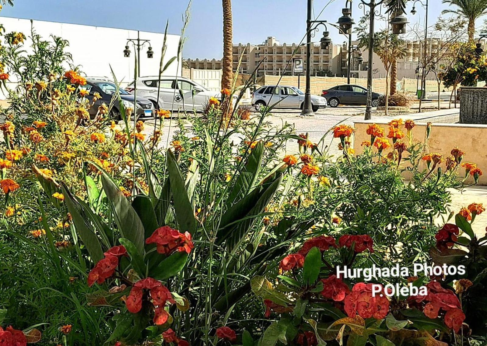 Appartement Princess Hurghada