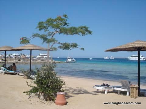 Fun On The Run Eco Hurghada