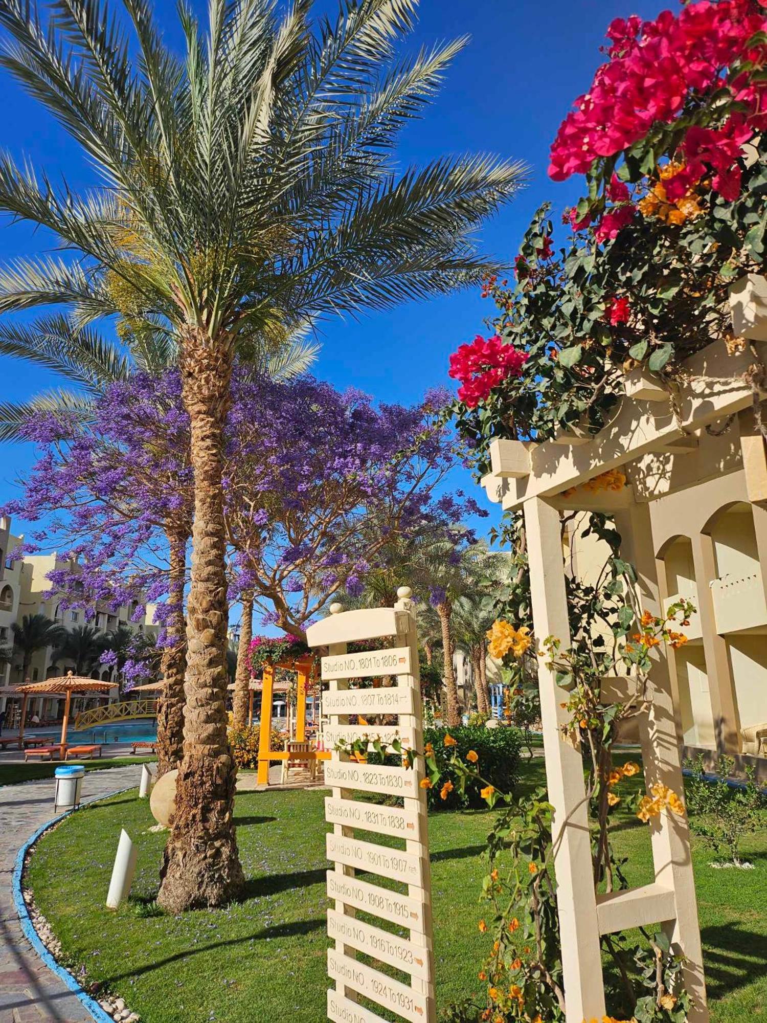 Comfortable In Nubia 4 Stars With Private And Pools Hurghada