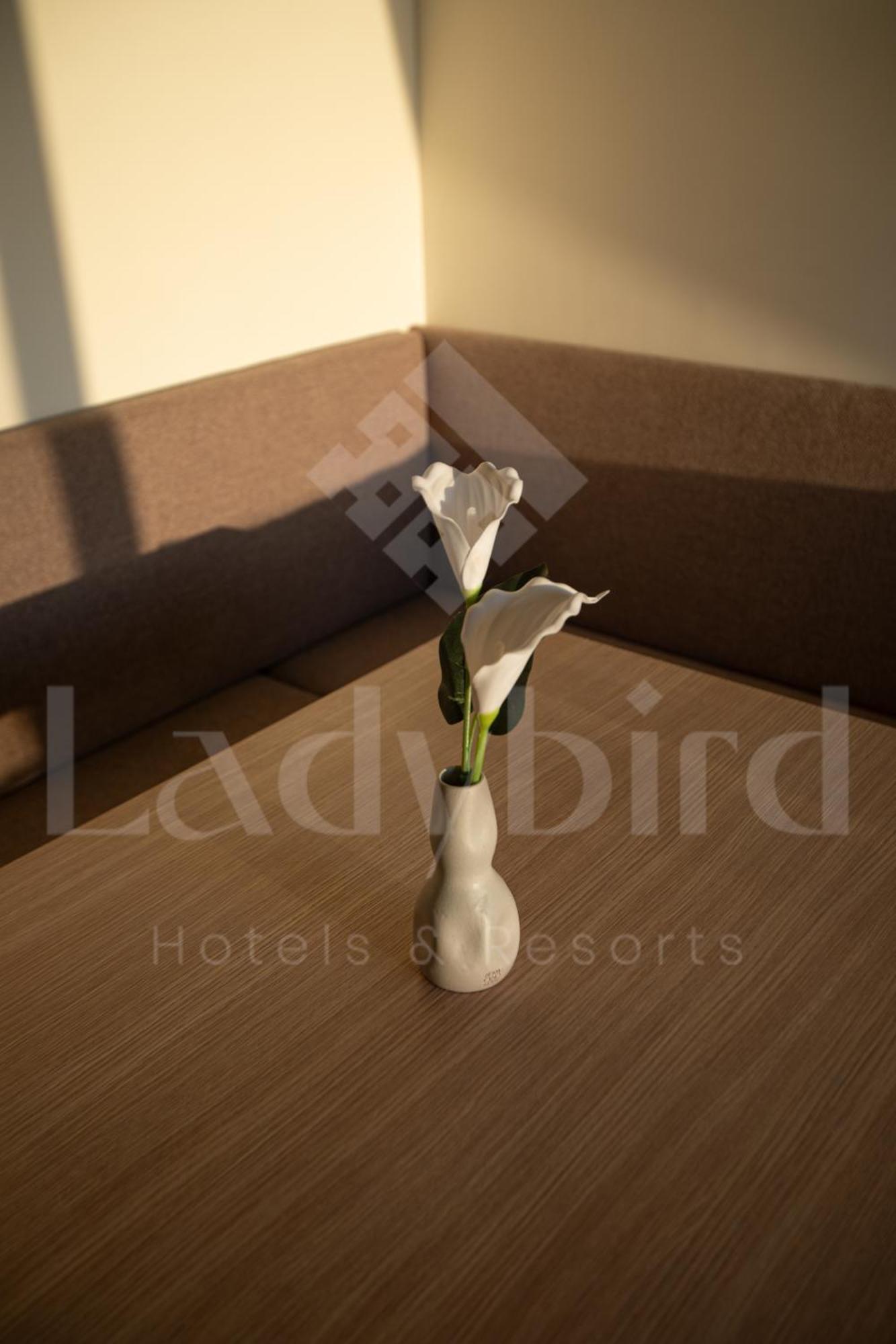 Ladybird - Veranda Highline Hurghada