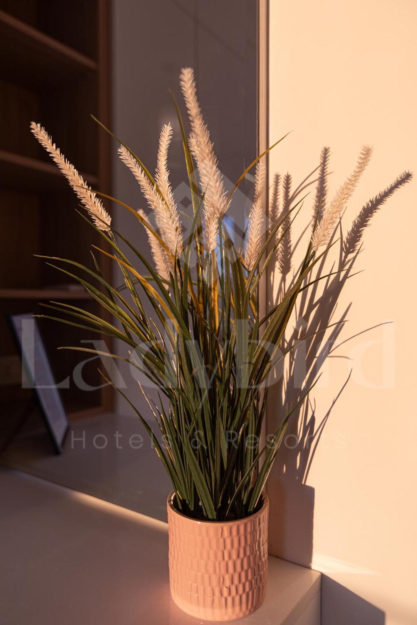 Apartment Ladybird - Veranda Highline Hurghada
