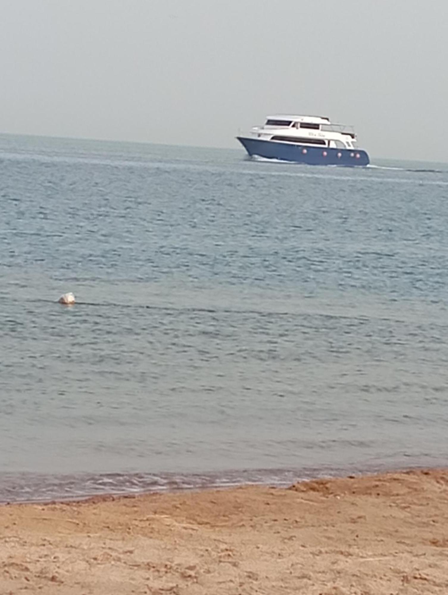 Haitham M Hafez Hurghada