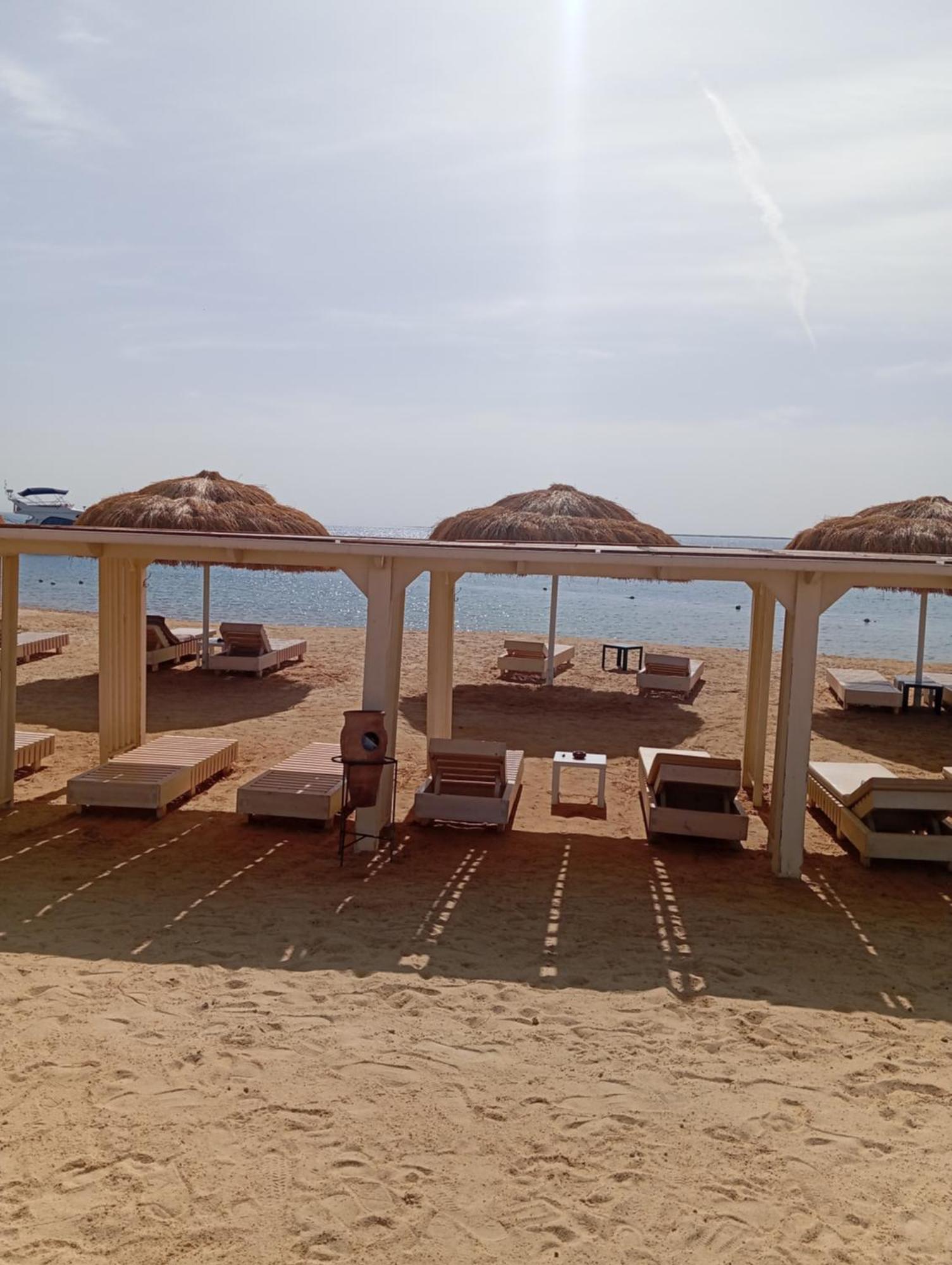 Haitham M Hafez Hurghada