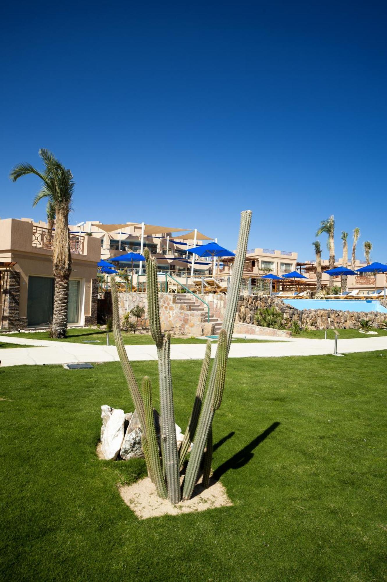 Shams Prestige Abu Soma (adults Only)