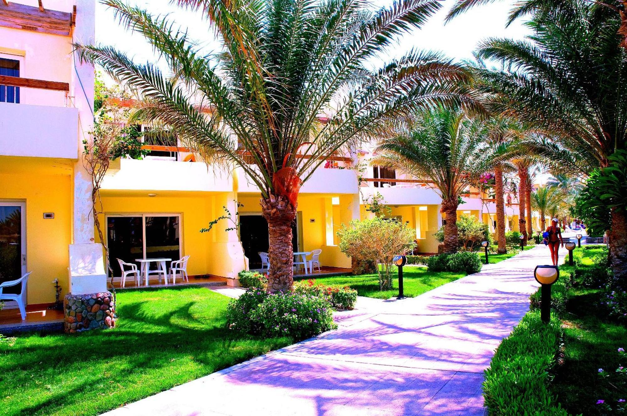 Resort Palm - Families&couples Only 4*