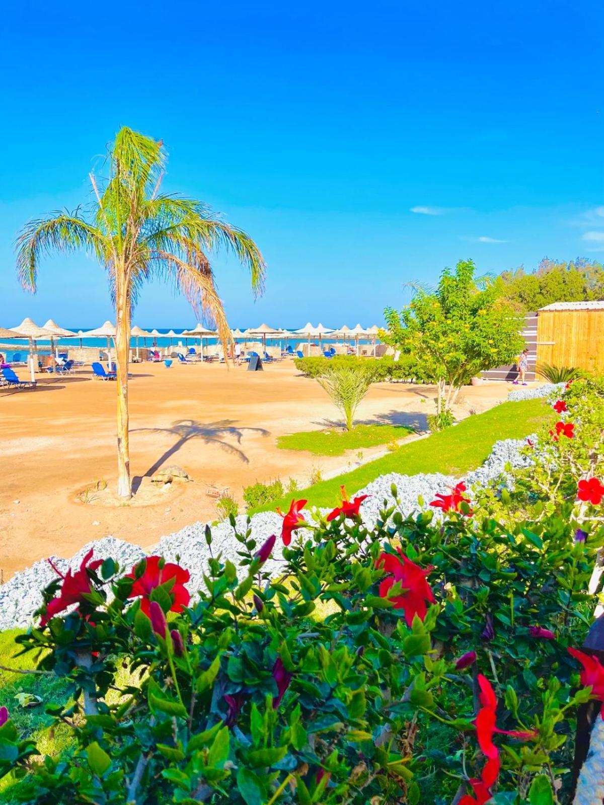 Appartement Luna Blu Sea View Hurghada