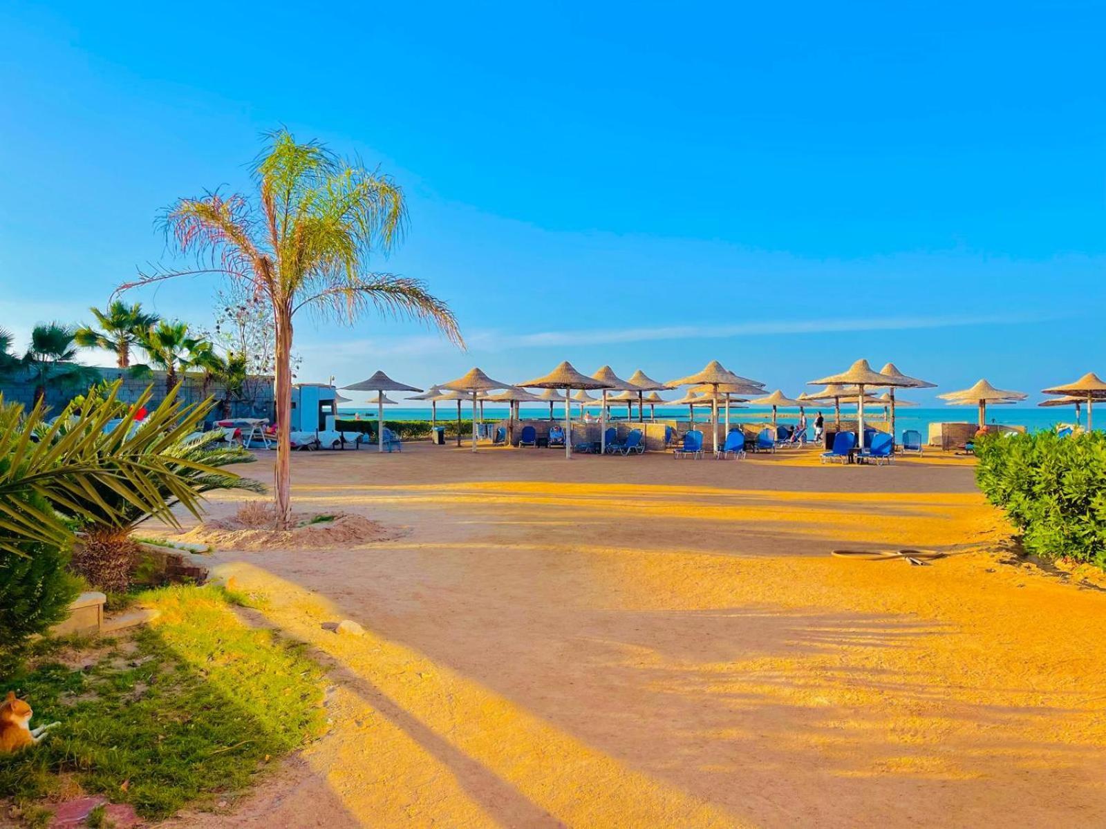 Appartement Luna Blu Sea View *