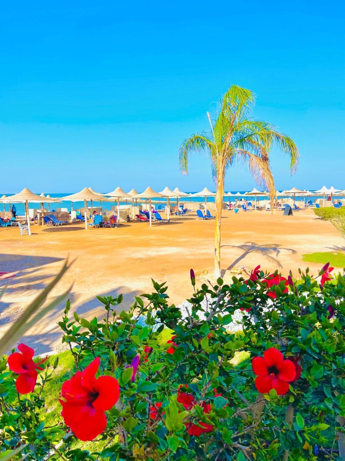 Appartement Luna Blu Sea View *