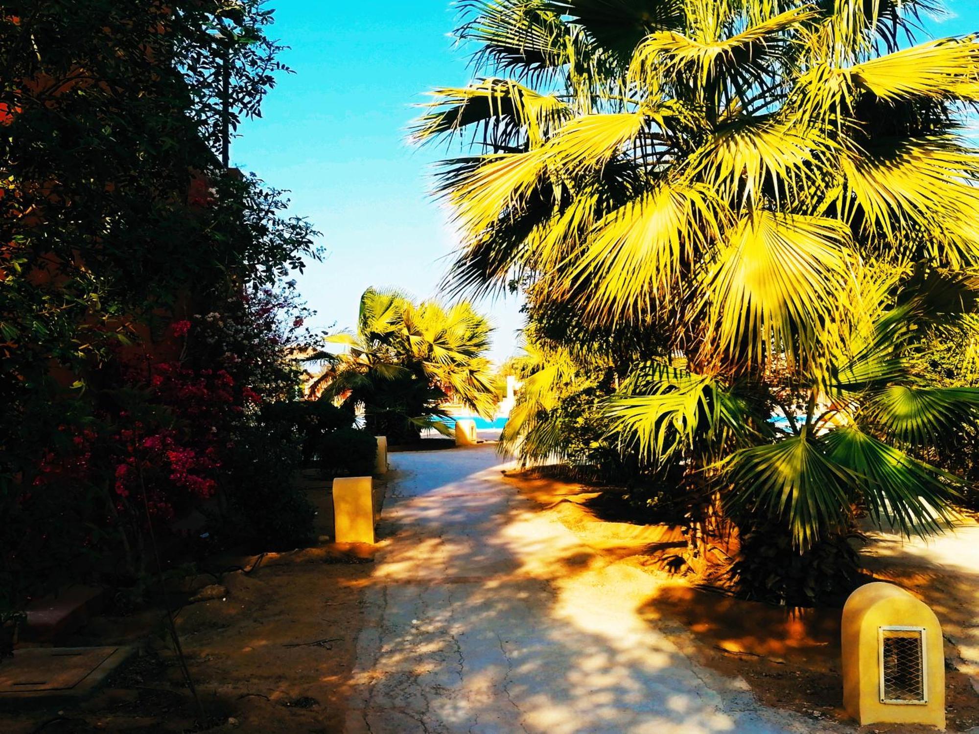 Apartment Elgouna Westgolf Y39-6
