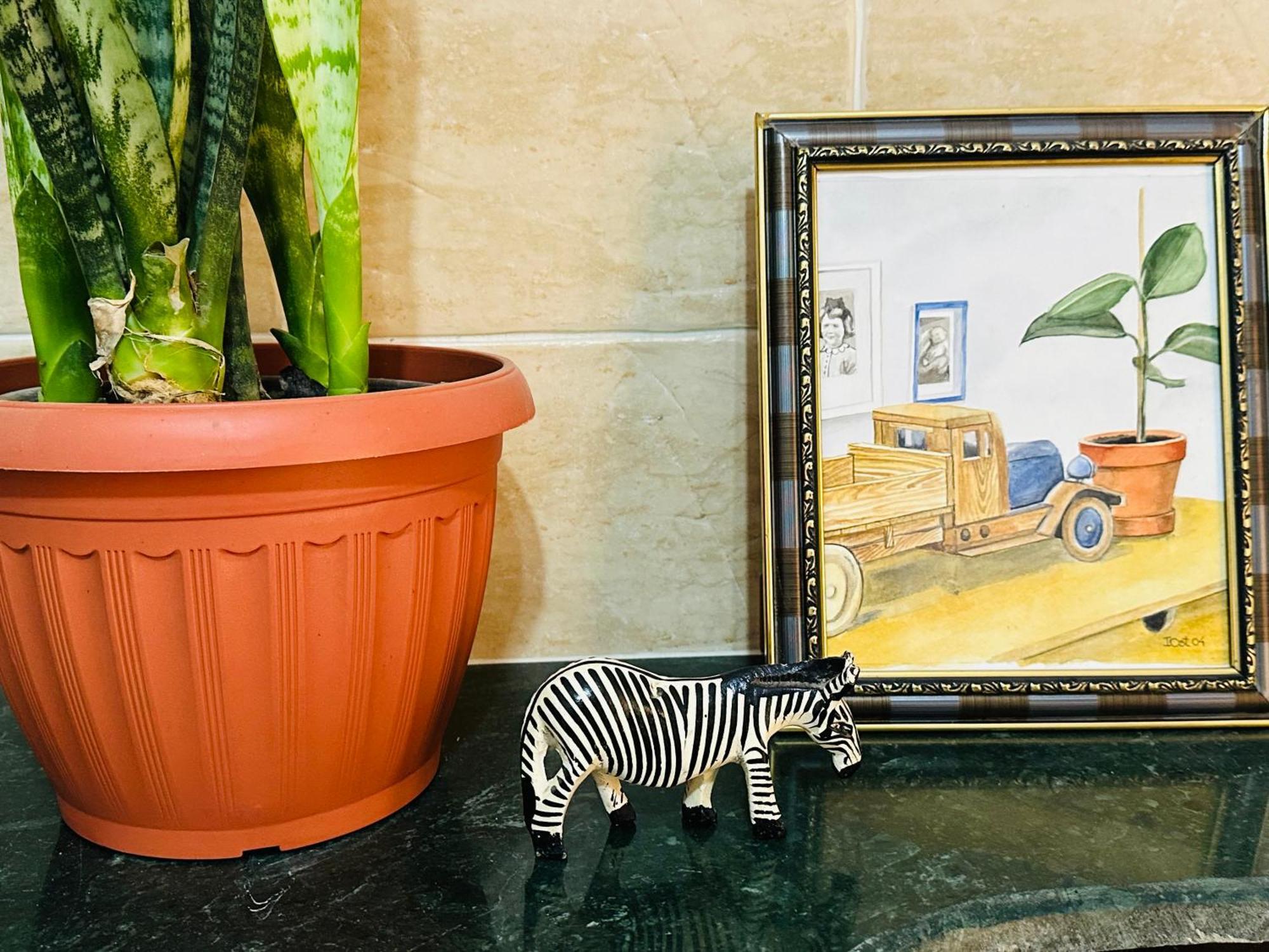 Zebra House Center Hurghada