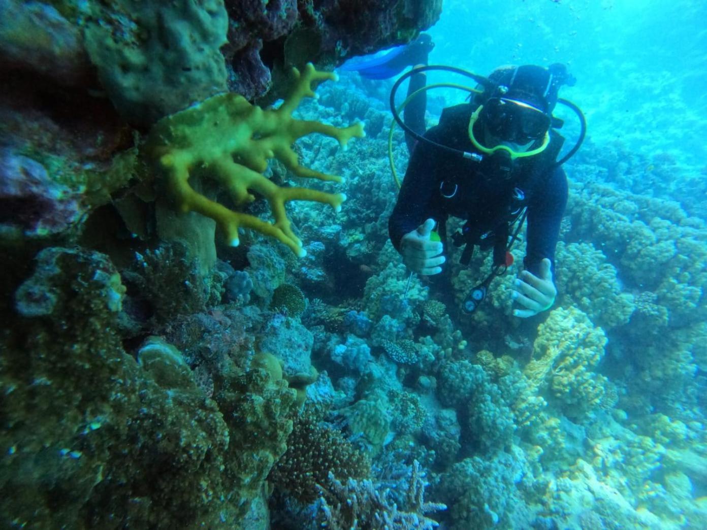 Hurgada Botel Hurghada