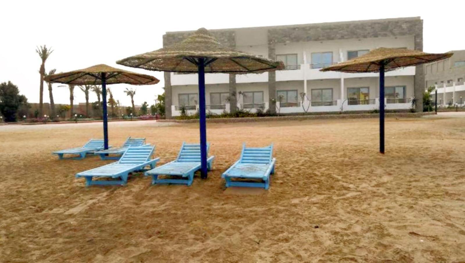 Cecelia Compound 3*