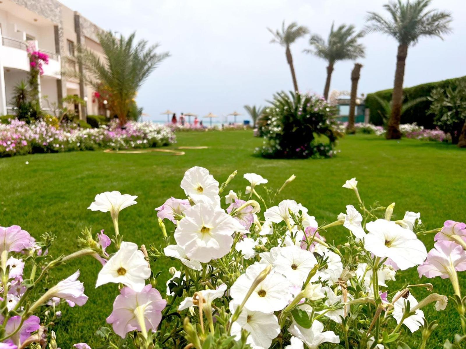 Cecelia Compound 3* Hurghada