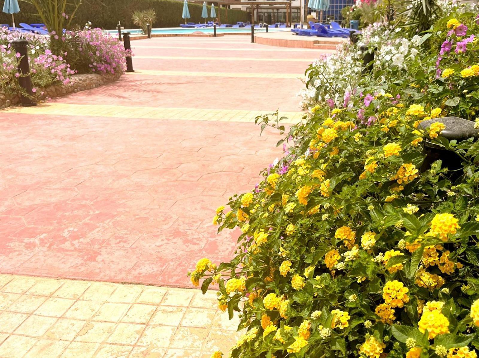 Cecelia Boutique Hotel 3*