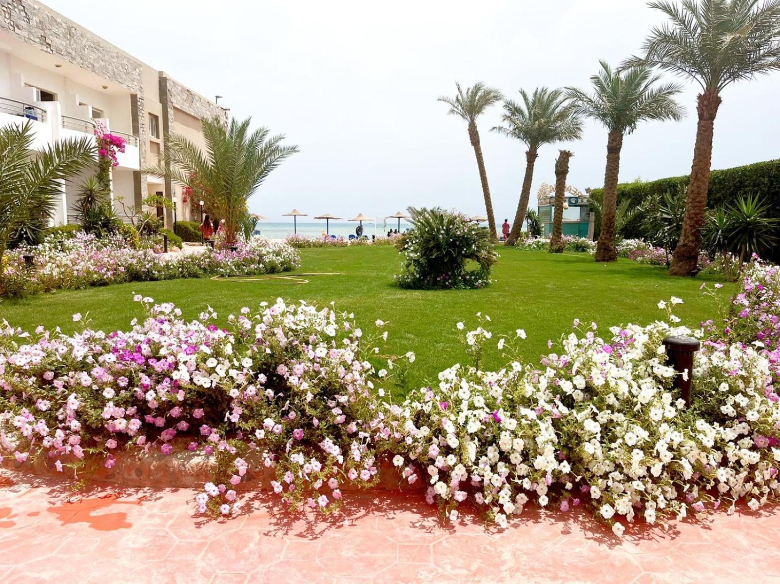 Cecelia Compound Hurghada
