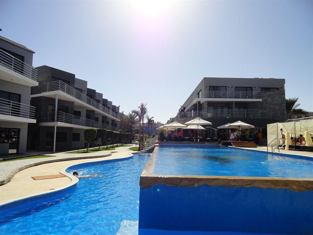 Premium Seagull Hotel