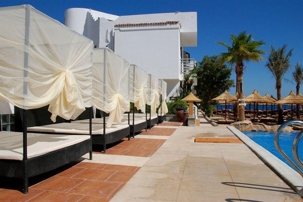 Premium Seagull Hotel 4*