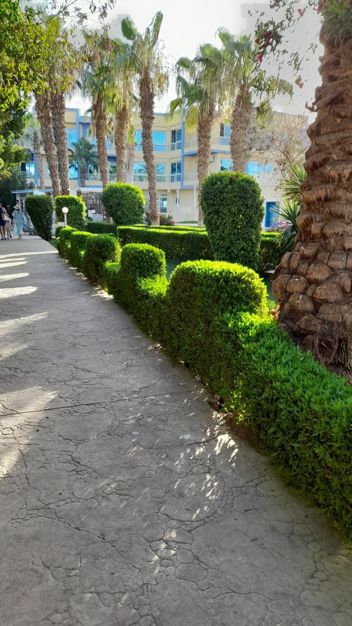 Resort Mirage Bay And Aqua Park #apartment Hurghada