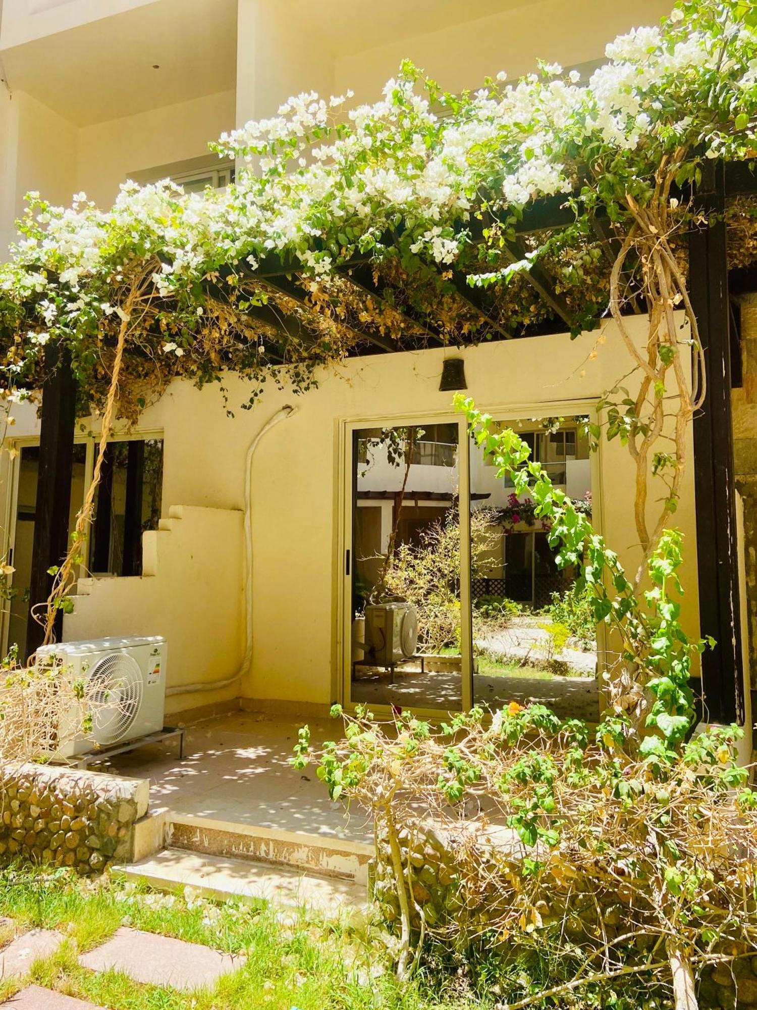 Apartment Florenza Khamsin Hurghada