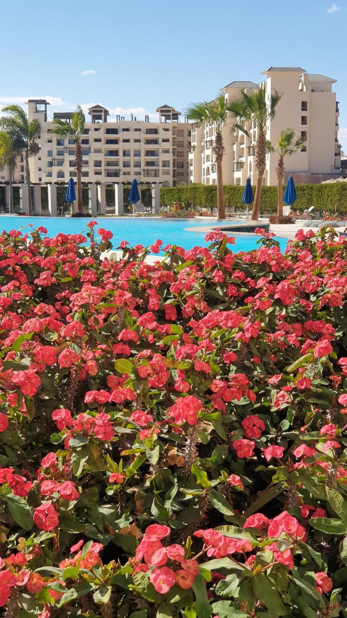One Bed Flat, Al Dau Heights