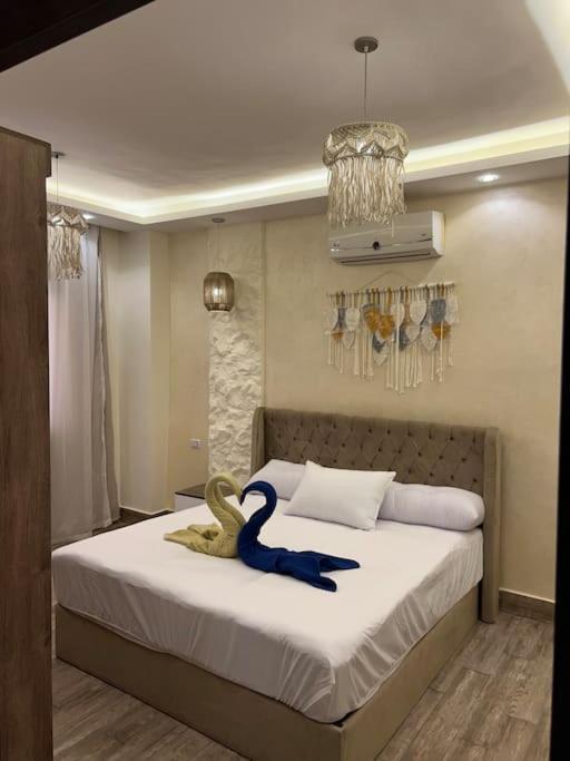 Small Lovely Cheerful Close To El Gouna *