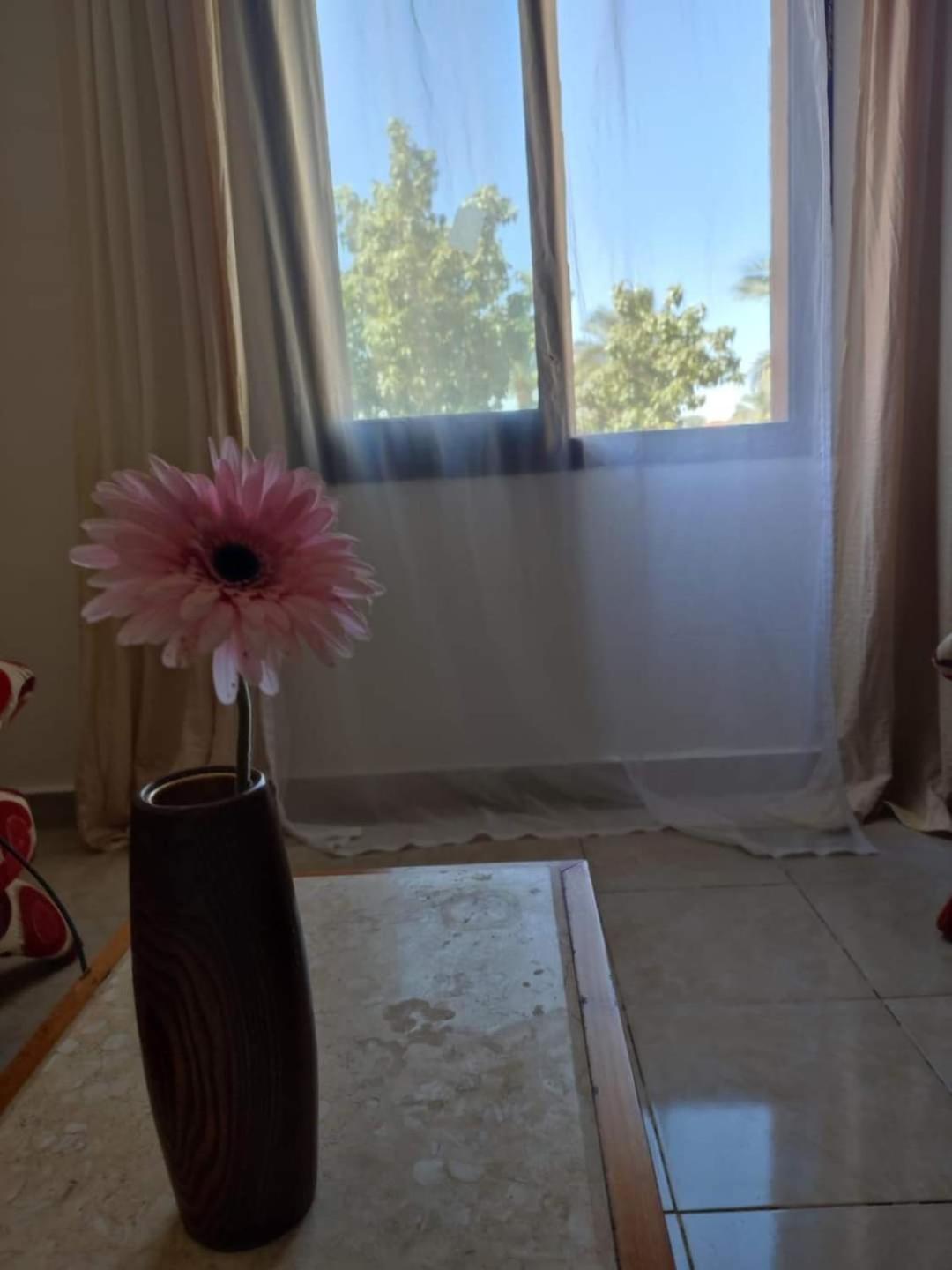 Stella De Mari In Makadi Bey Apartment *