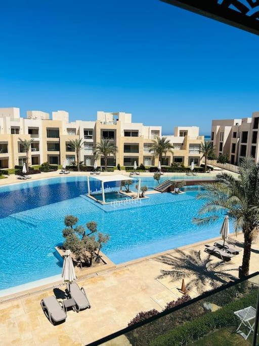 Mangroovy, Red Sea, El Gouna * Hurghada