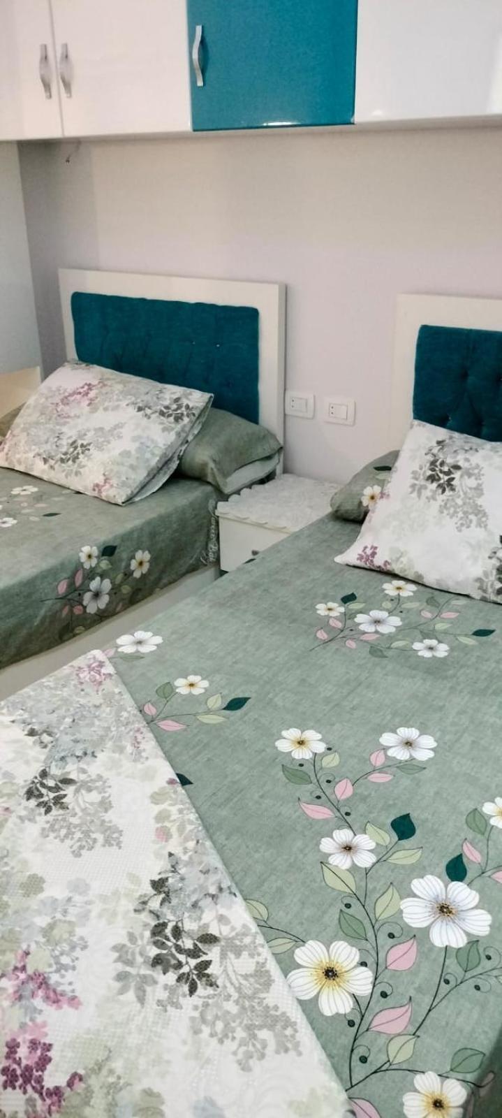 Apartment سيسليا ريزورت H9 *