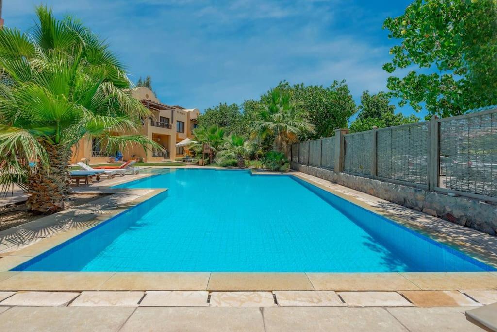 Beautiful With Terrace To The Pool Apartment