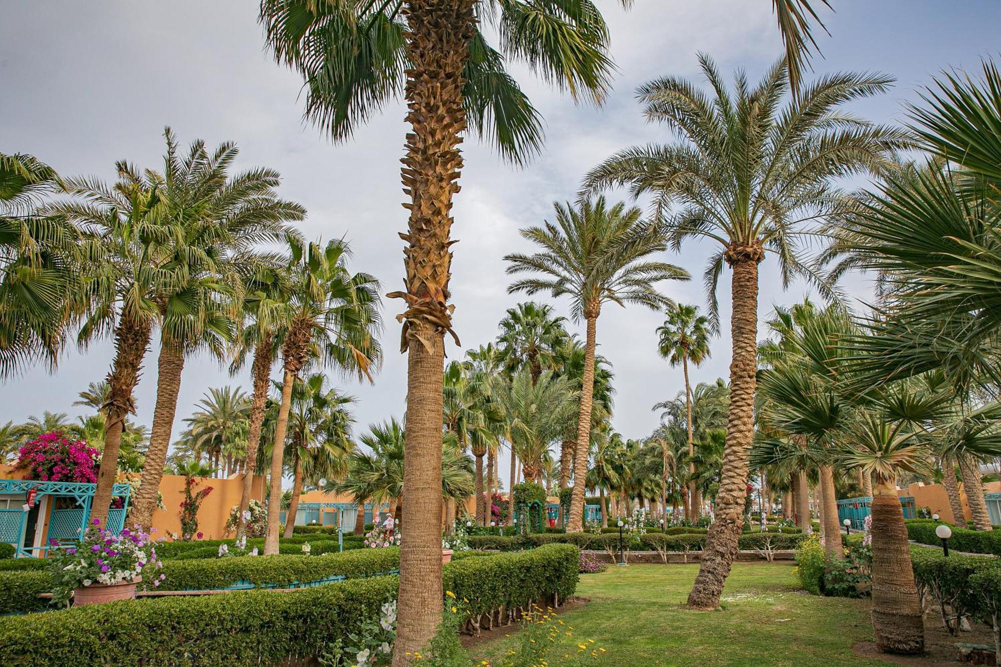 Resort Giftun Azur