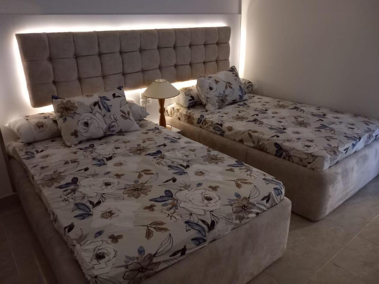 البحر الأحمر كمبوند الياقوته الحمراء الوزراء *