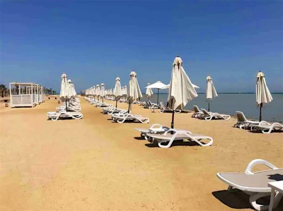 Marvelous 2br - Free Access And Pool Access In Mangroovy Appartement *