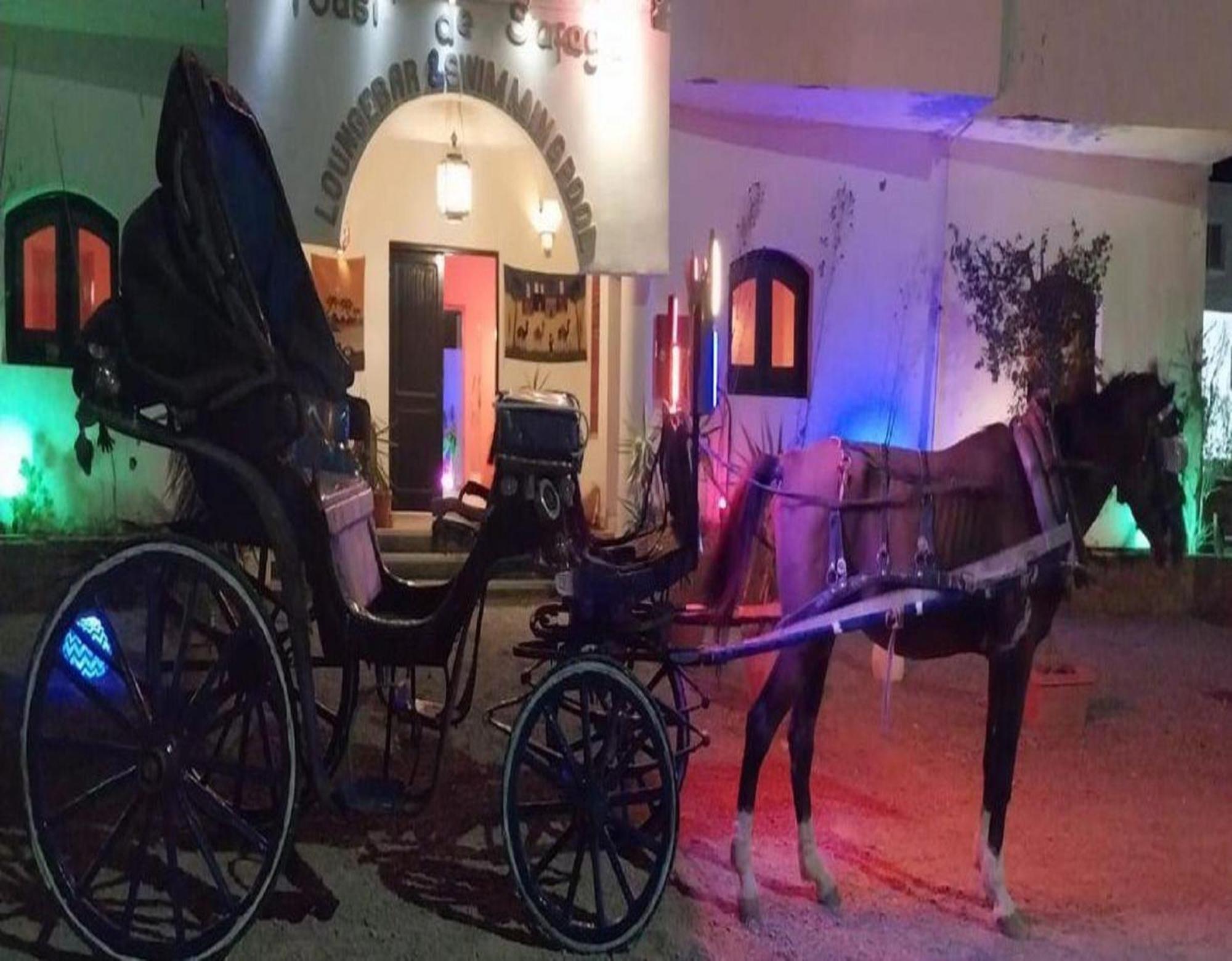 Hotel L'oasis De Safaga Hurghada