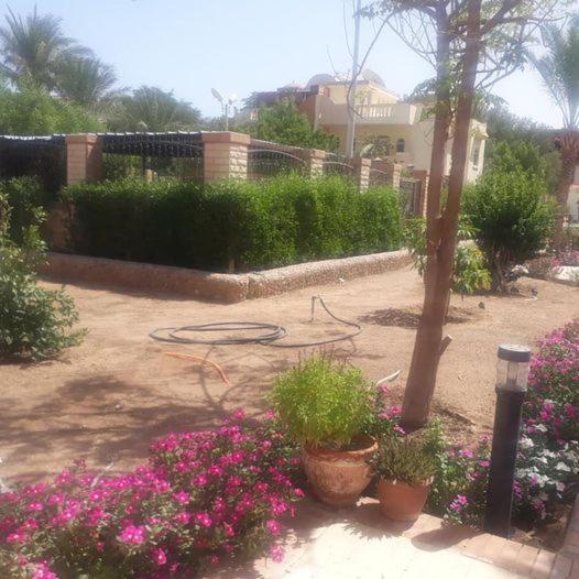 , Mubarak 6, Close To Magawish Villa