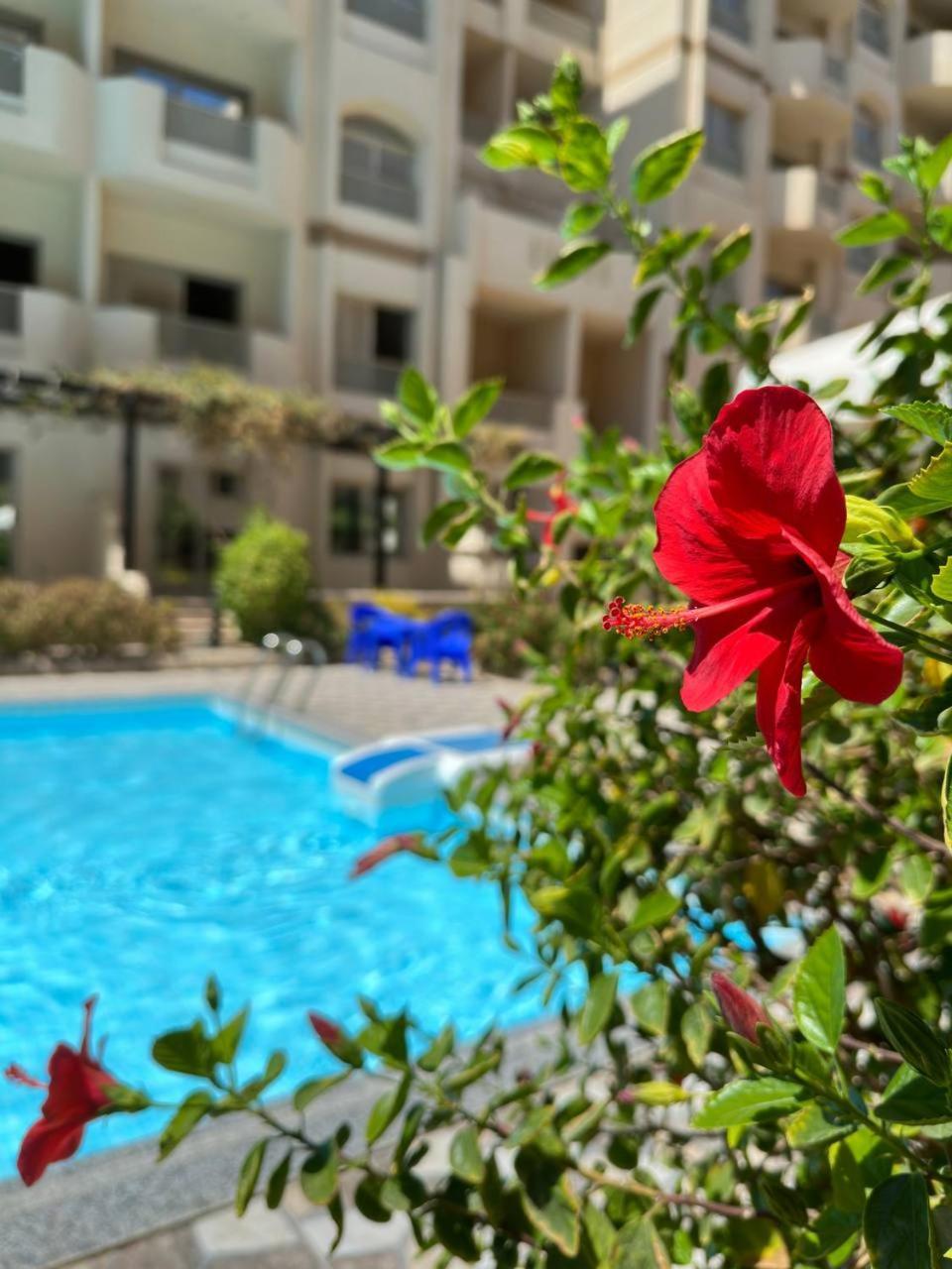 Apartment Florenza Khamsin Yara
