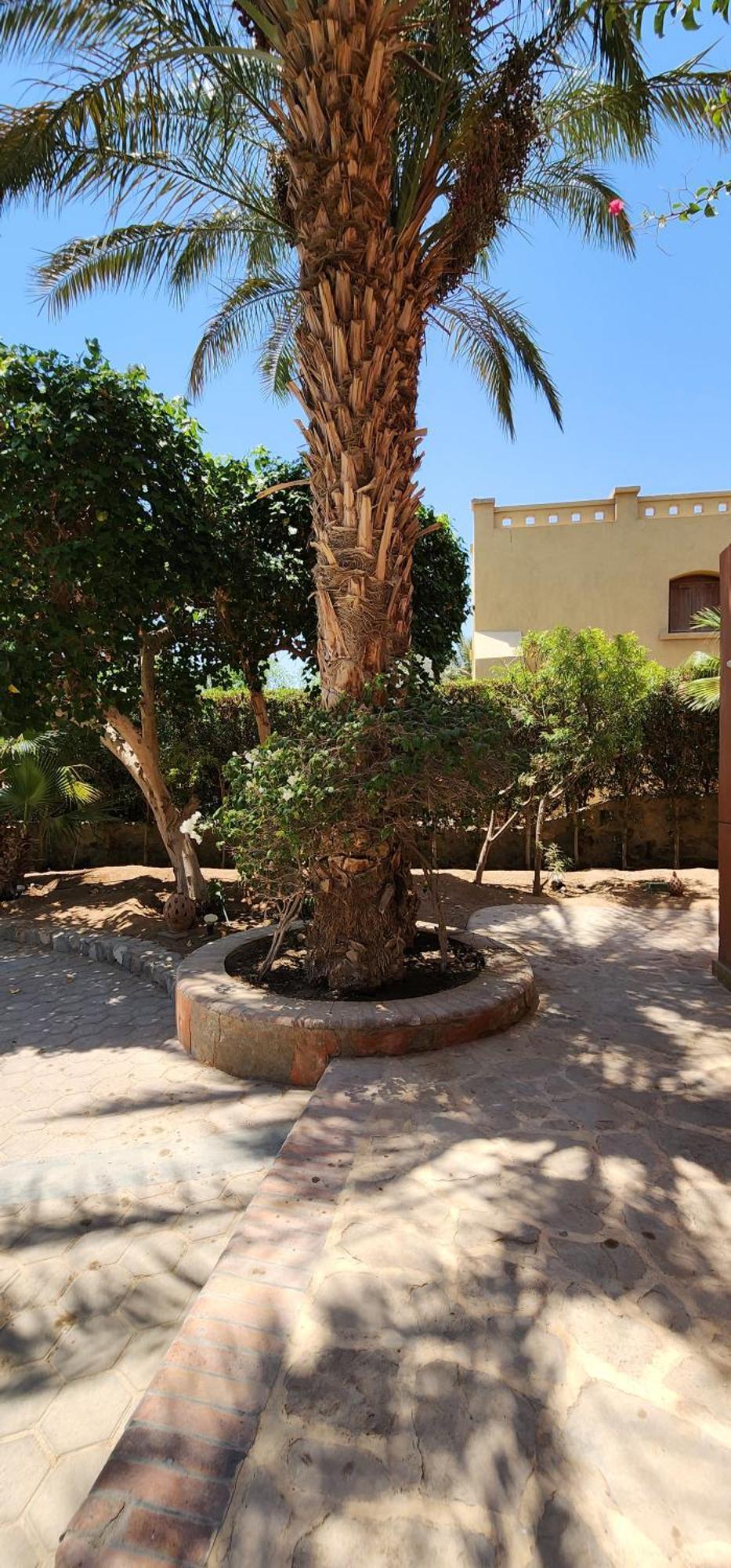 Nayah Stays, Lagoons Beach, Paradise 3 Ensuite With Private Pool