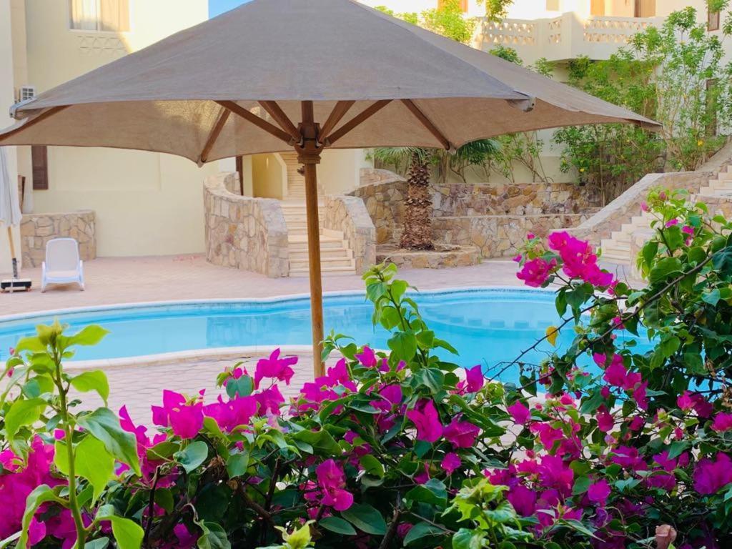 Makadi Heights Lovely Flat