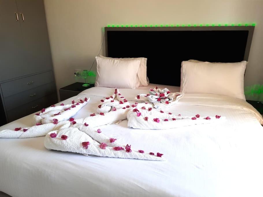 Jasmine Aldau Heights Rent One Bedroom Apartment Hurghada