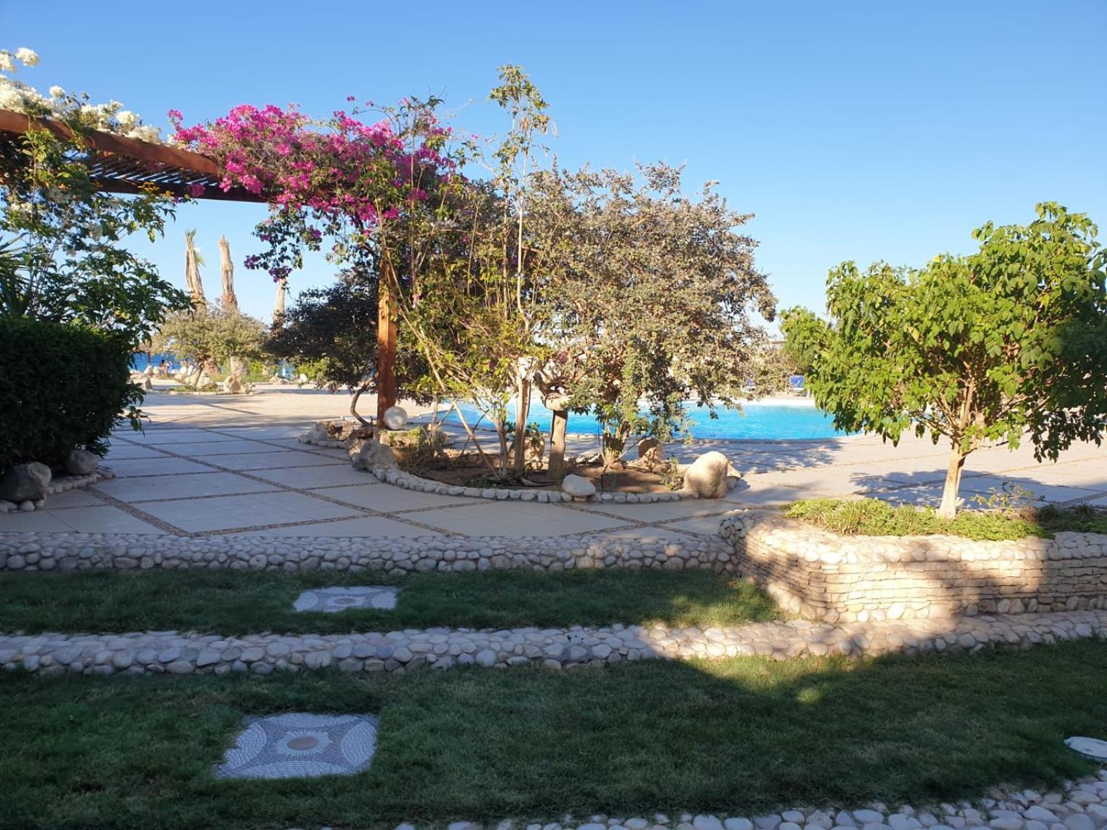 For Rent 202 Apartment
