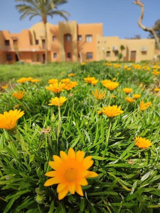 Apartment Stella De Mari In Makadi With