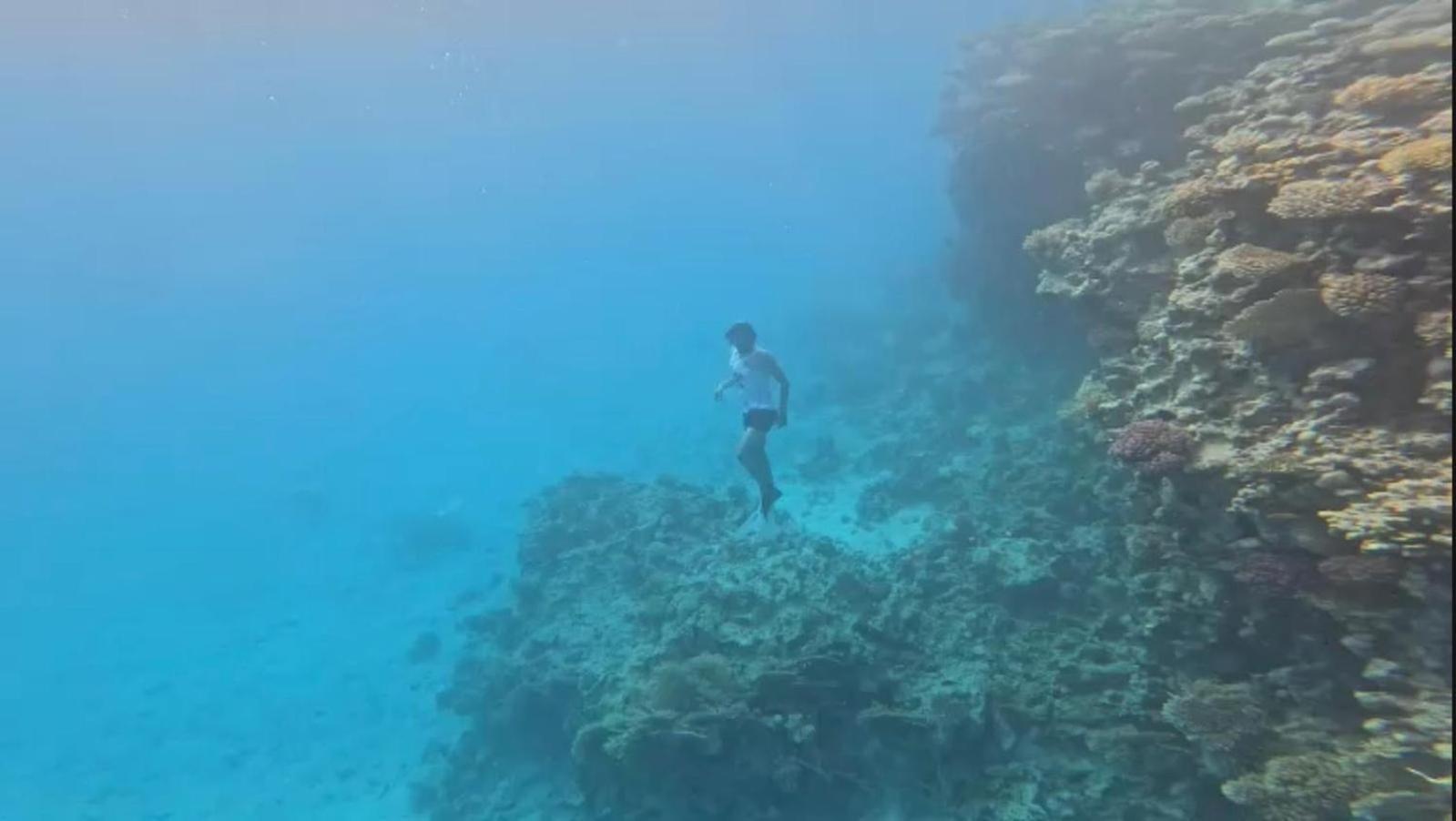 Kuba Luxus Tour - Boat In Sahl Hashesh - Hurghada