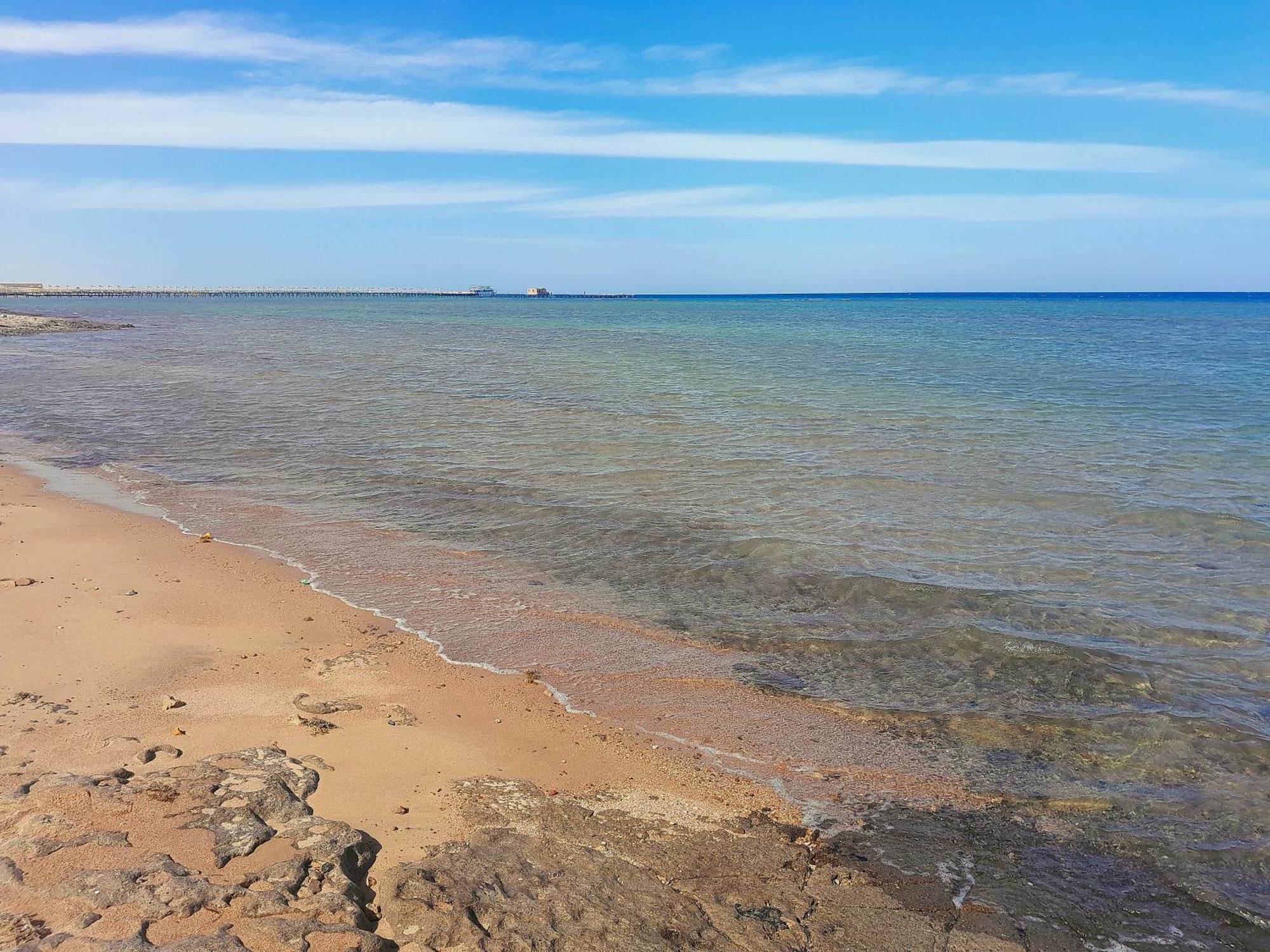 Selena Bay
