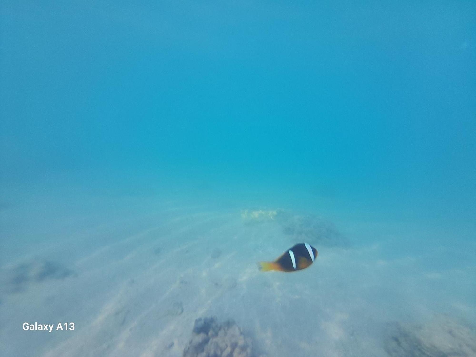 Selena Bay * Hurghada