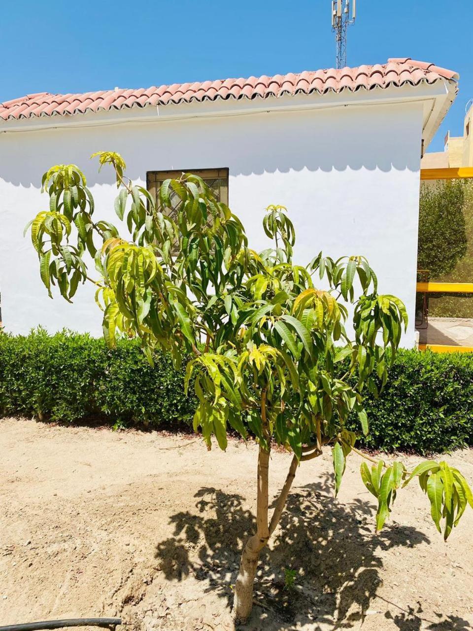 Villa Happiness Majawish, Close To The Center