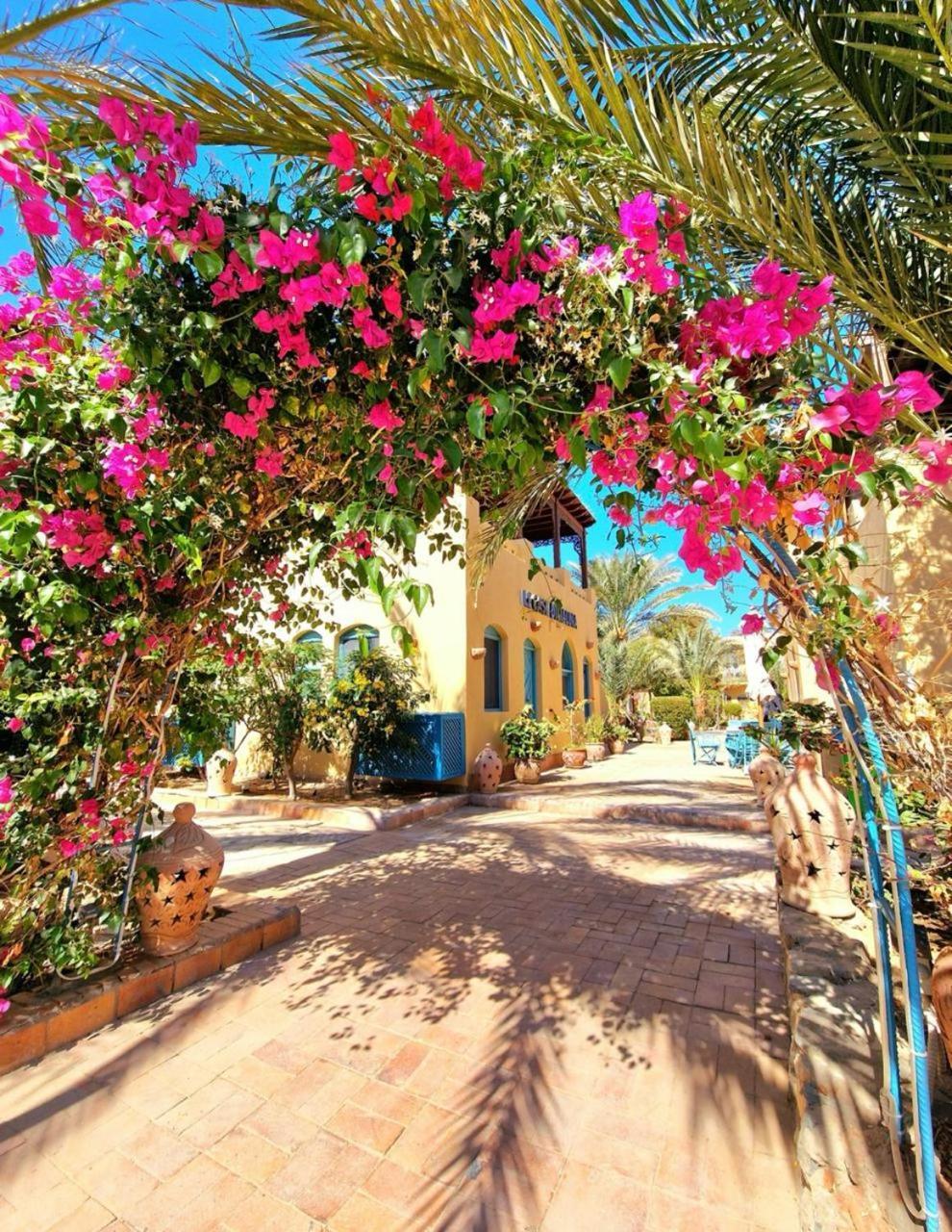 Lovely1 Bedroom Downtown Elgouna F04 Apartment