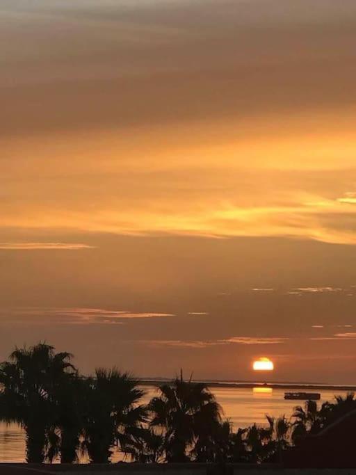 Appartement Sunny Sea View Marina On Private Roof *