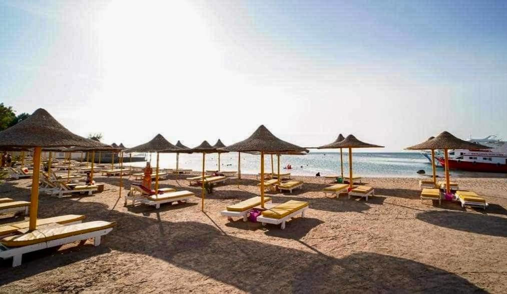Cozy In Andalusia With Free Apartment