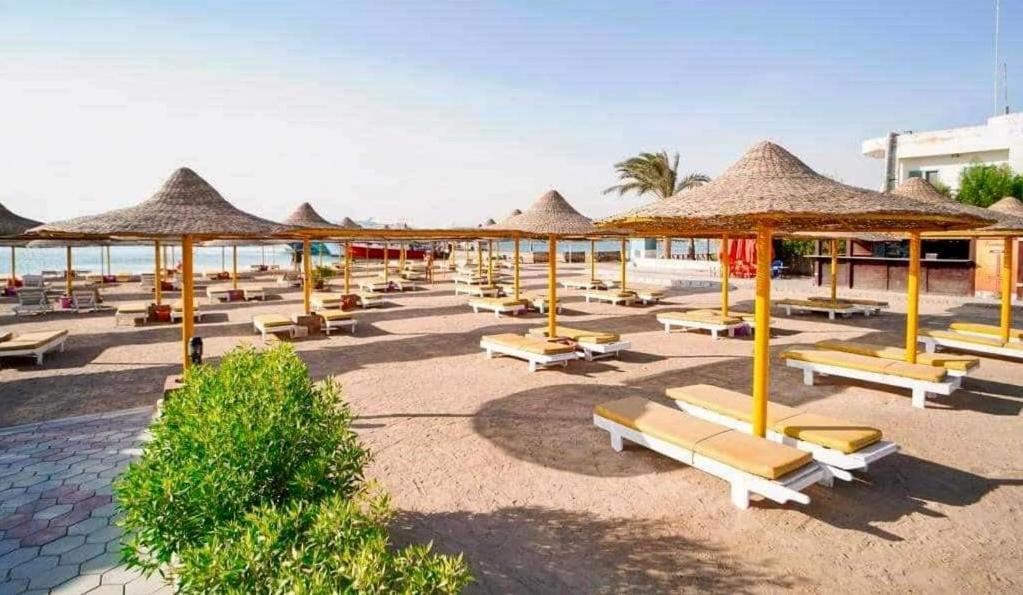 Cozy In Andalusia With Free Apartment *