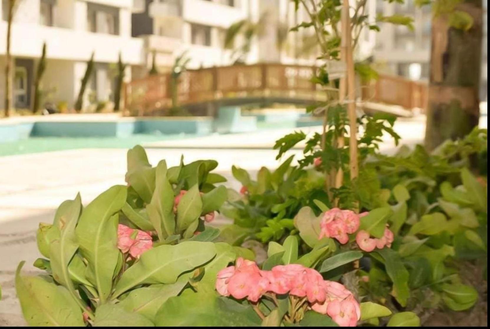 Apartamento Fanadir Bay Hurghada